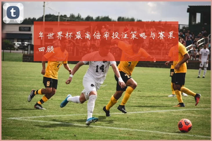 年世界杯最高倍率投注策略与赛果回顾