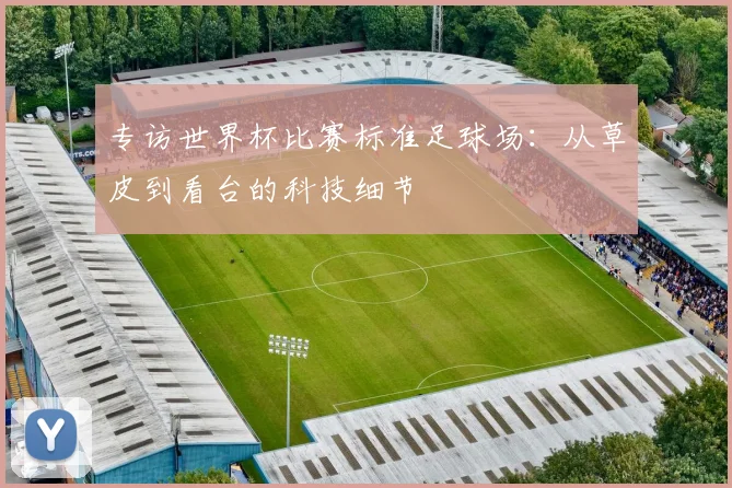 专访世界杯比赛标准足球场：从草皮到看台的科技细节