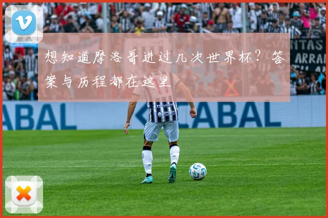 想知道摩洛哥进过几次世界杯？答案与历程都在这里